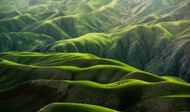 Spending more time in nature can calm the mind. (Image via Unsplash/Qingbao Meng)